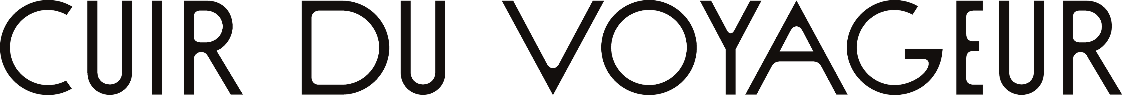 CUIR DU VOYAGEUR