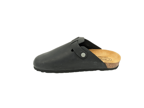 Birk