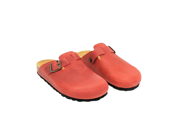 Birk
